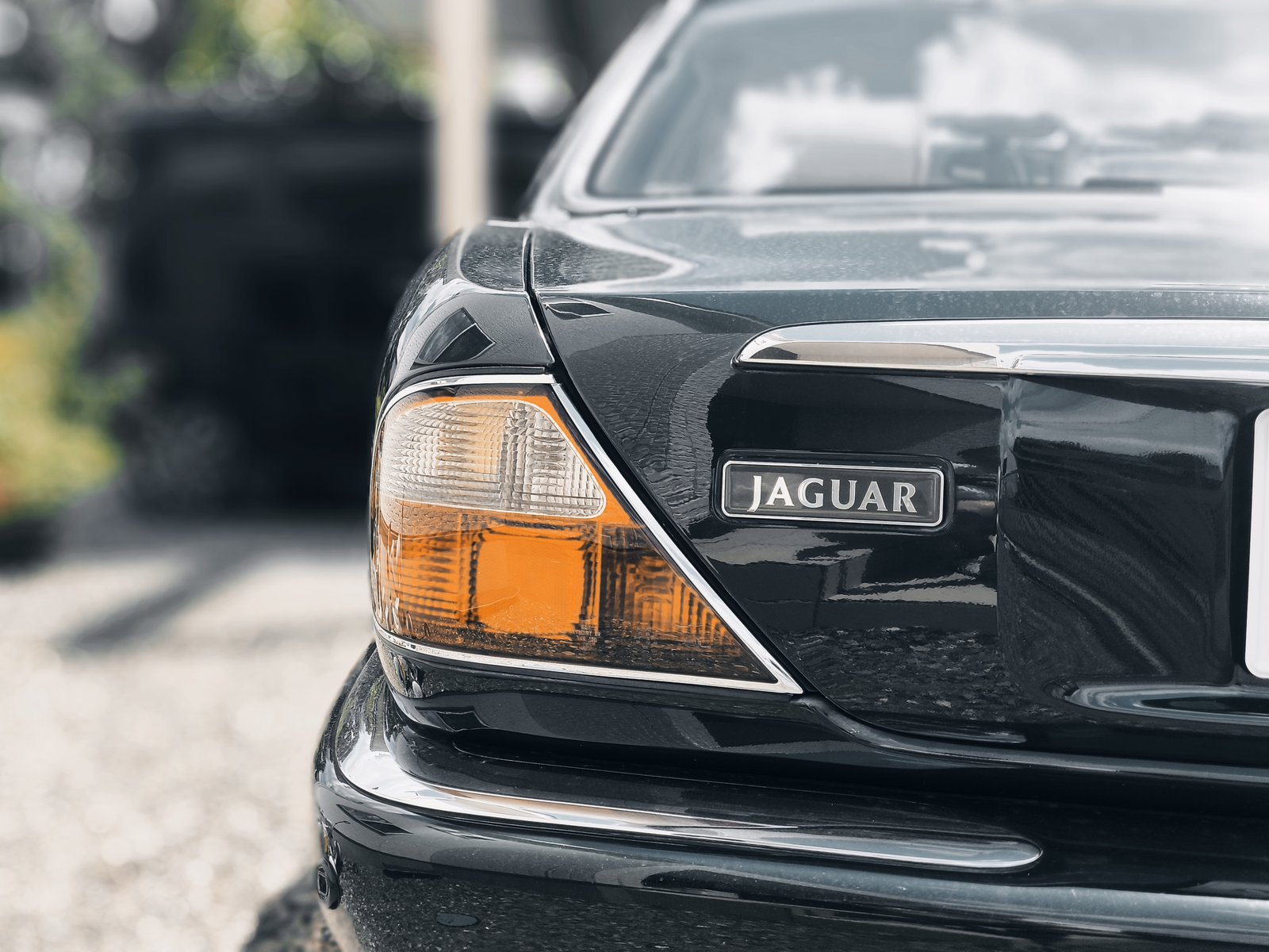 リアの JAGUAR エンブレム(寄り)