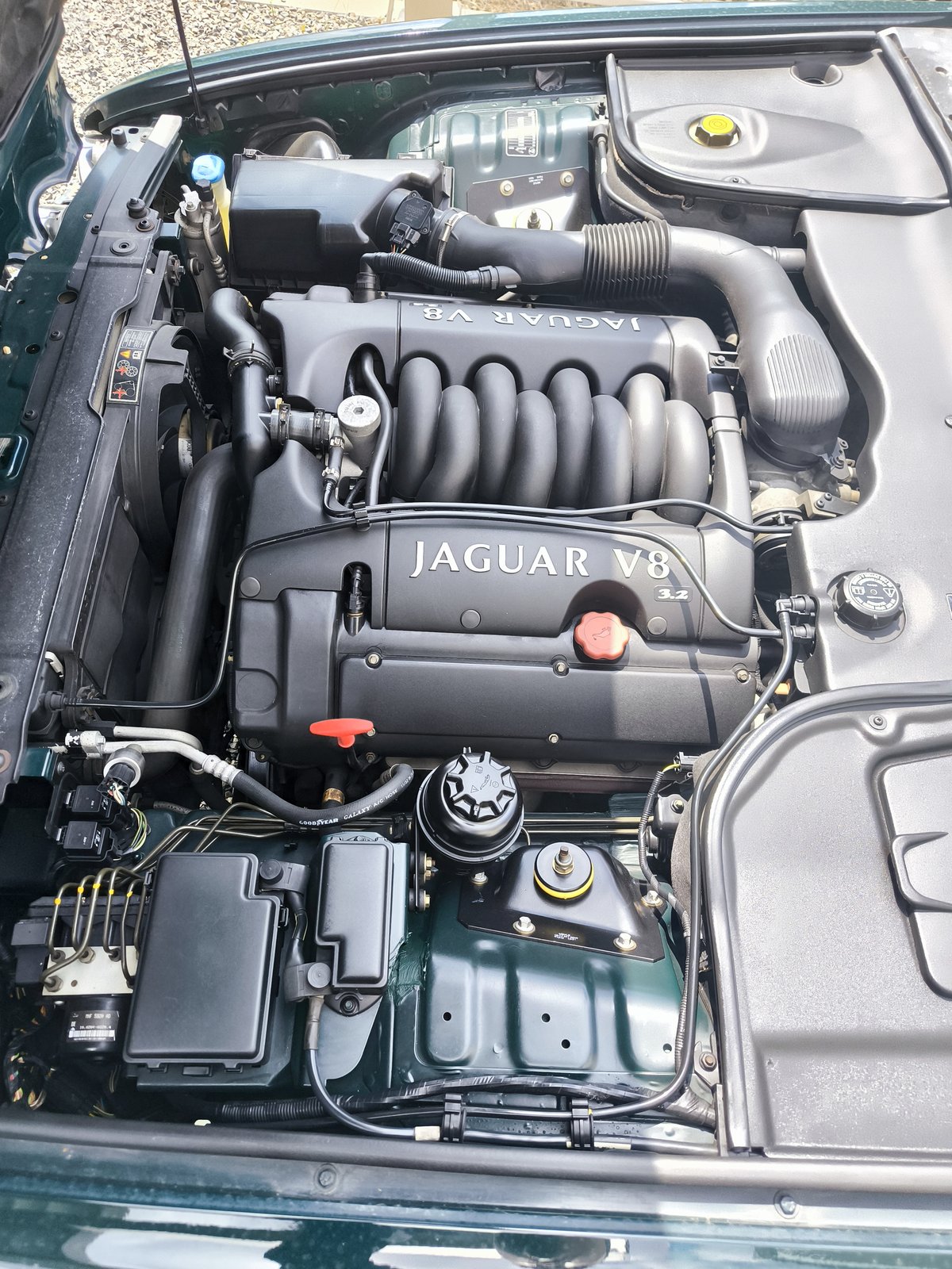 JAGUAR V8 のエンジンカバー